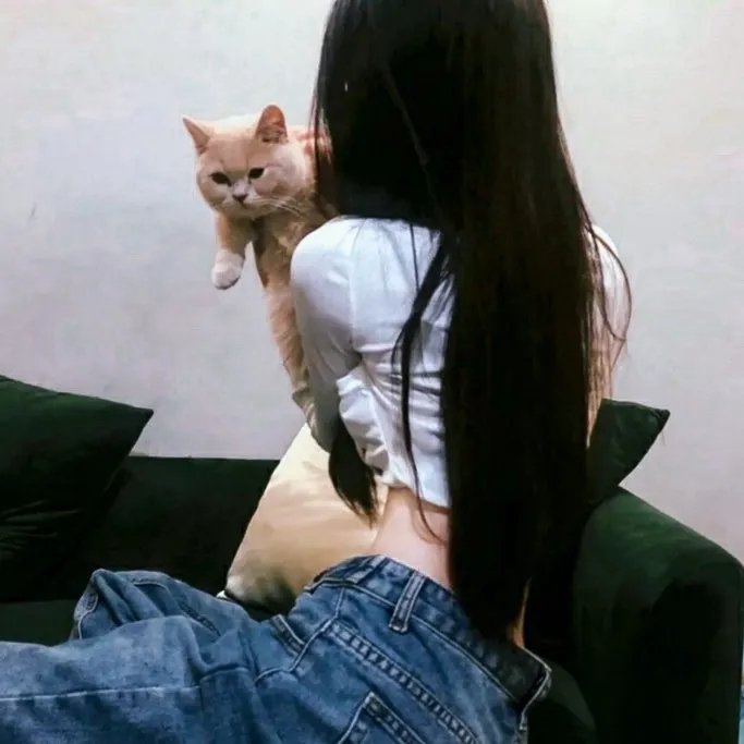 西游伏妖篇
