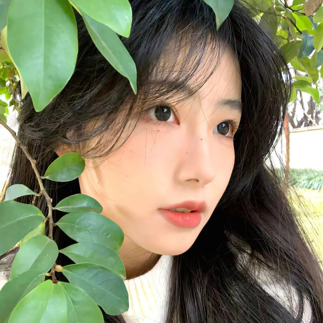 美国风情画2